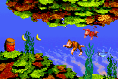 Donkey Kong Country